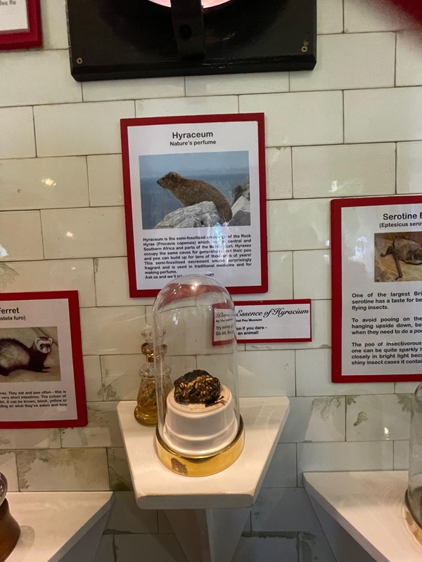 Poo display