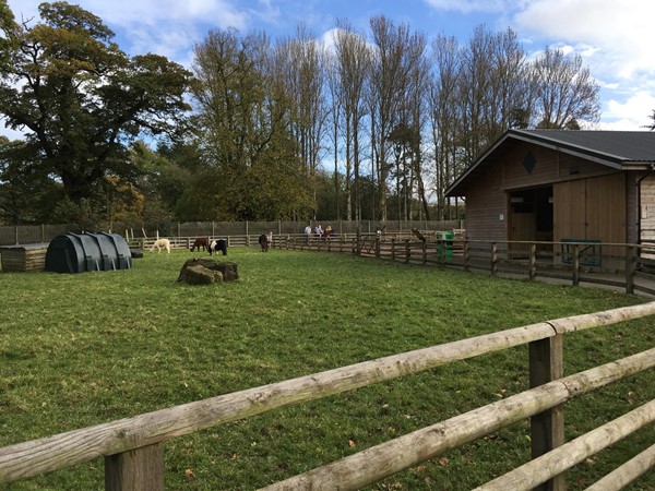 Blair Drummond Safari Park