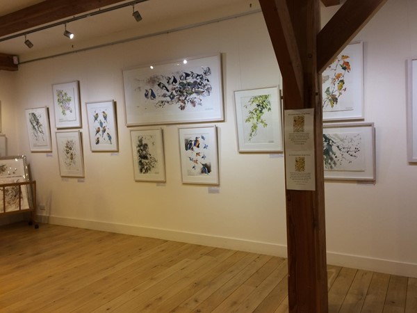 Scottish Ornithologists Club, Waterston House, Aberlady