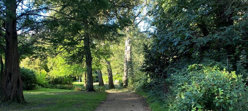 Upton House & Country Park
