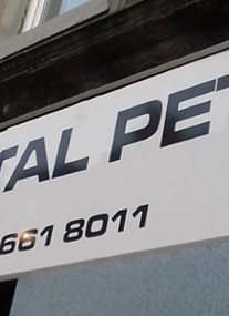 Capital Pets