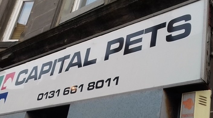 Capital Pets