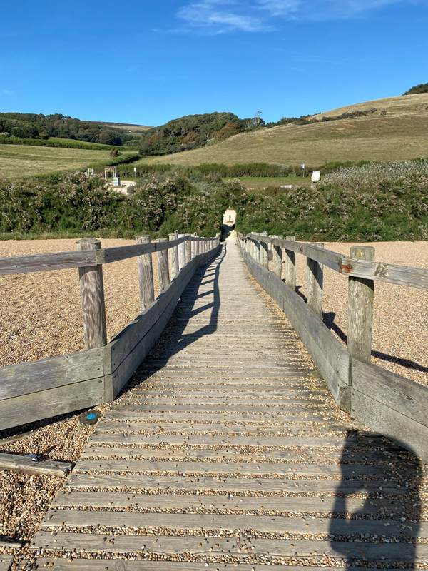 Looking back down the boardwalk towards the car park