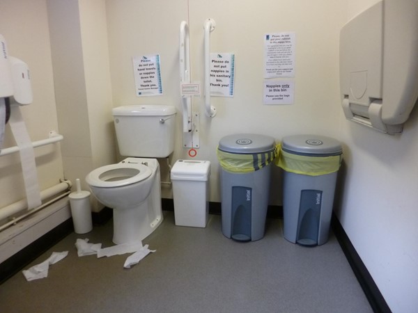 Photo of the toilet.