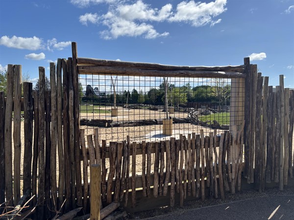 Windows to see animal enclosures at wheelchair accessible height