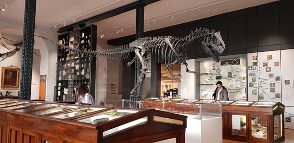Picture of Lapworth Museum of Geology