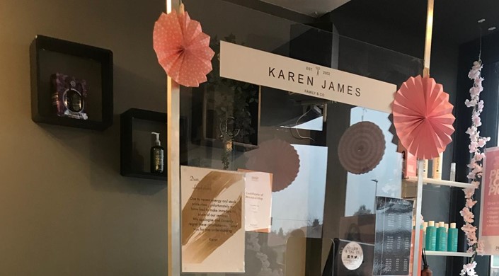 Karen James Hair Design