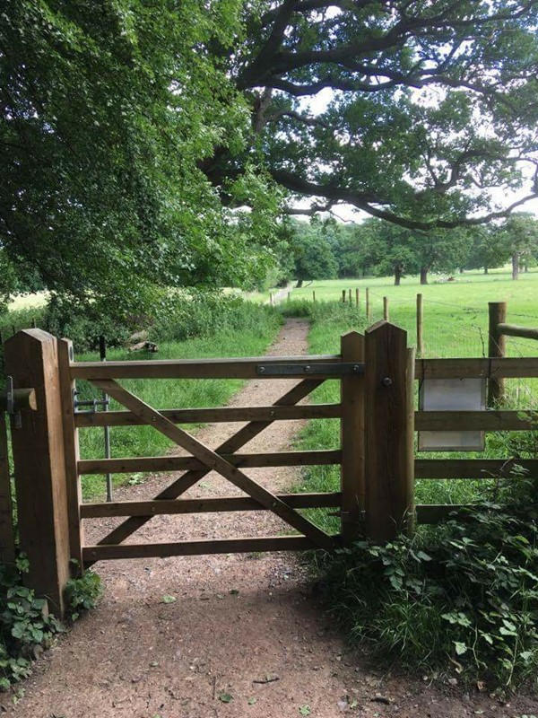 Picture of Hatchlands Estate