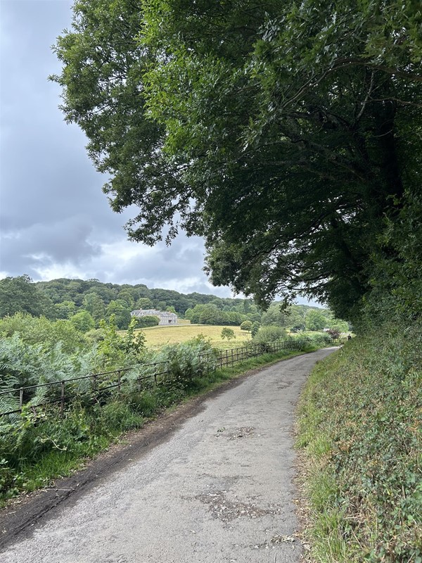 Image of a pathway