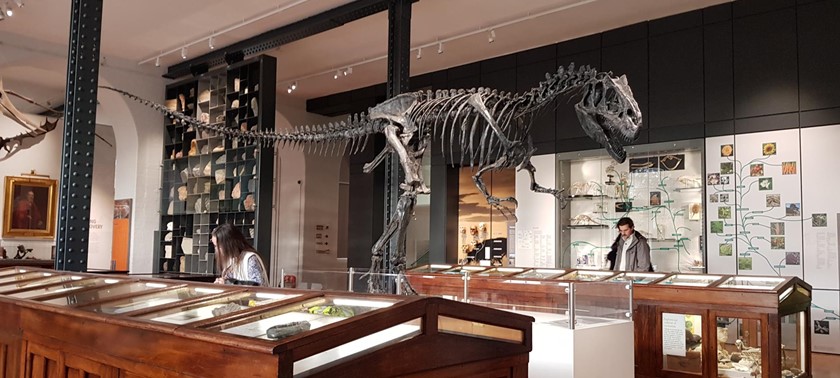 Lapworth Museum of Geology