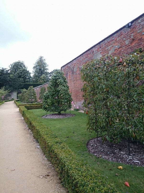 Picture of West Dean Gardens, Chichester