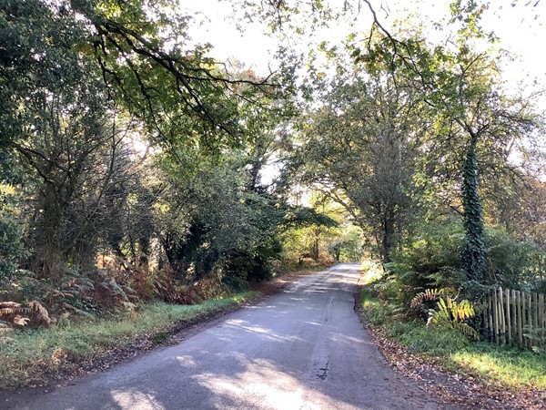 9 scenic lanes