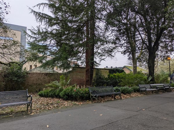 Image of park benches