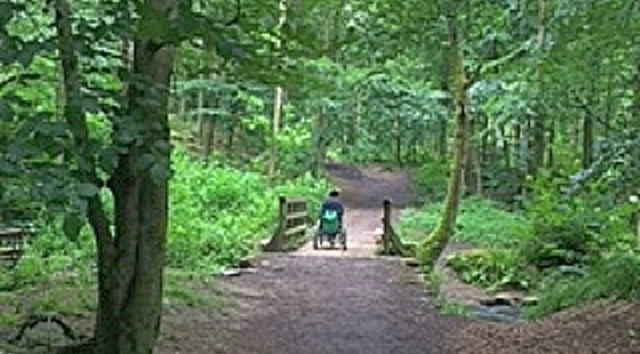 Flatts Wood Walk