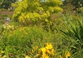 Another view of the garden with trees visible in the background