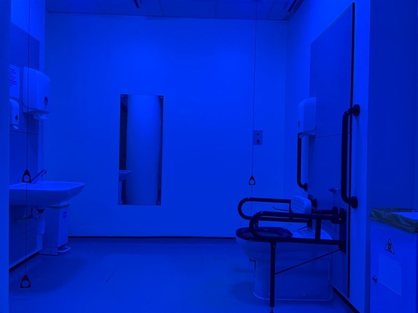 image of the left side of the bathroom, including sink, mirror and toilet in the Changing Places toilet