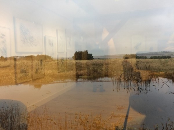 Scottish Ornithologists Club, Waterston House, Aberlady
