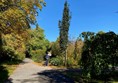 Picture of Sir Harold Hillier Gardens, Ampfield