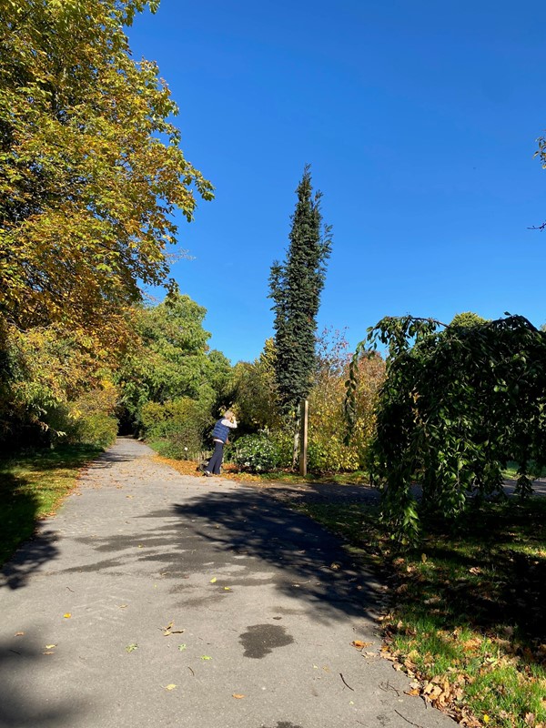 Picture of Sir Harold Hillier Gardens, Ampfield