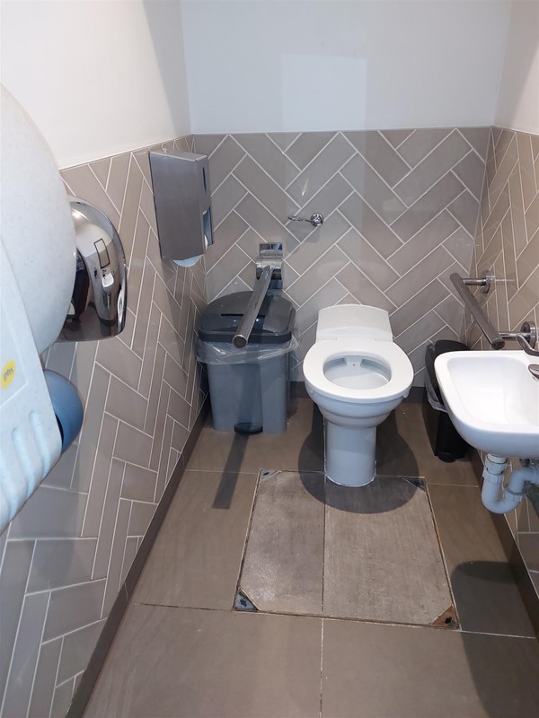 Image of a toilet with grabrails