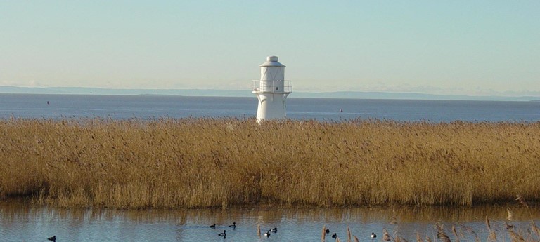 RSPB Newport Wetlands