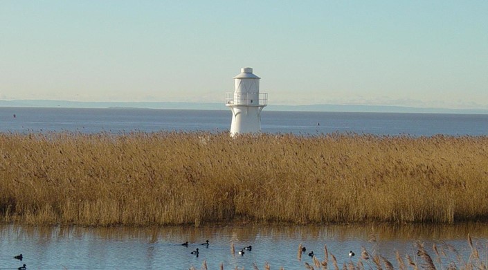 RSPB Newport Wetlands