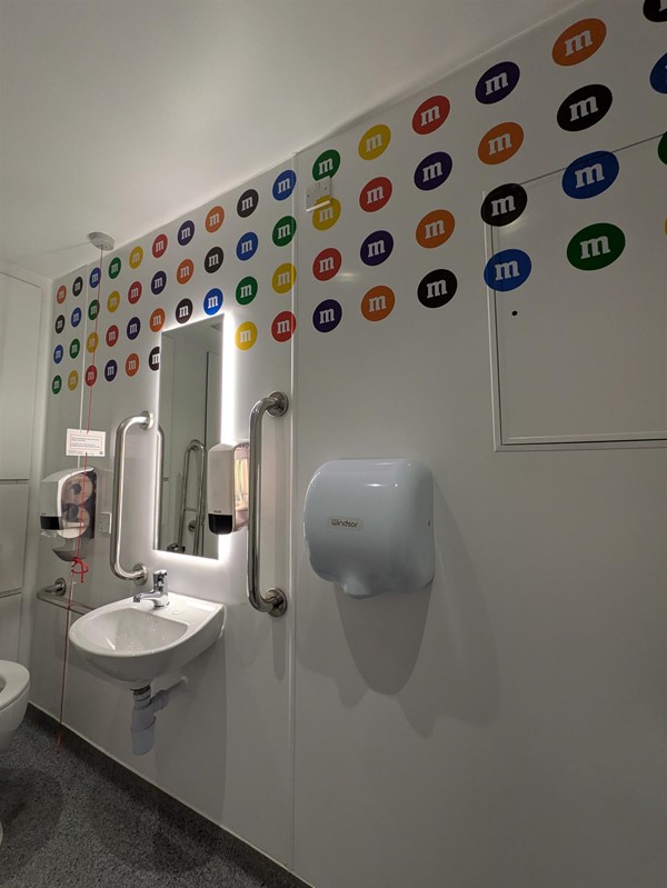 Image of accessible toilet