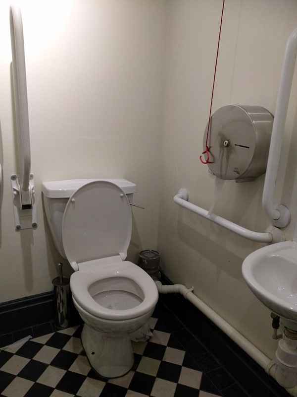 Picture of the Diner, London - Accessible toilet