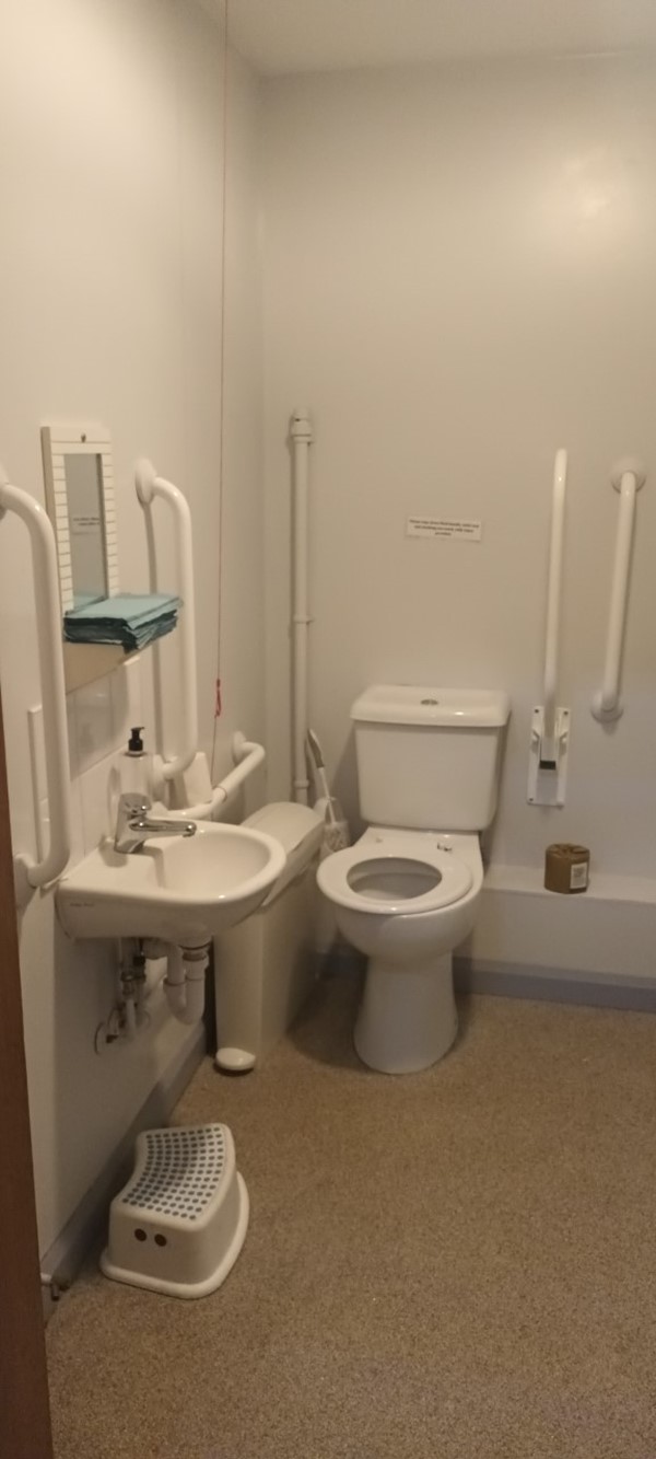 One of the disabled toilets.