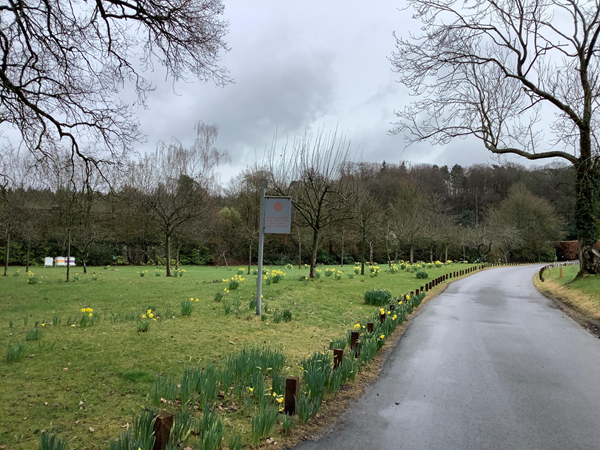 It is a pleasant ride along the meadows, and ideal during the Spring as daffodils are in full bloom