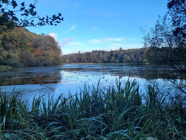 Picture of a lake