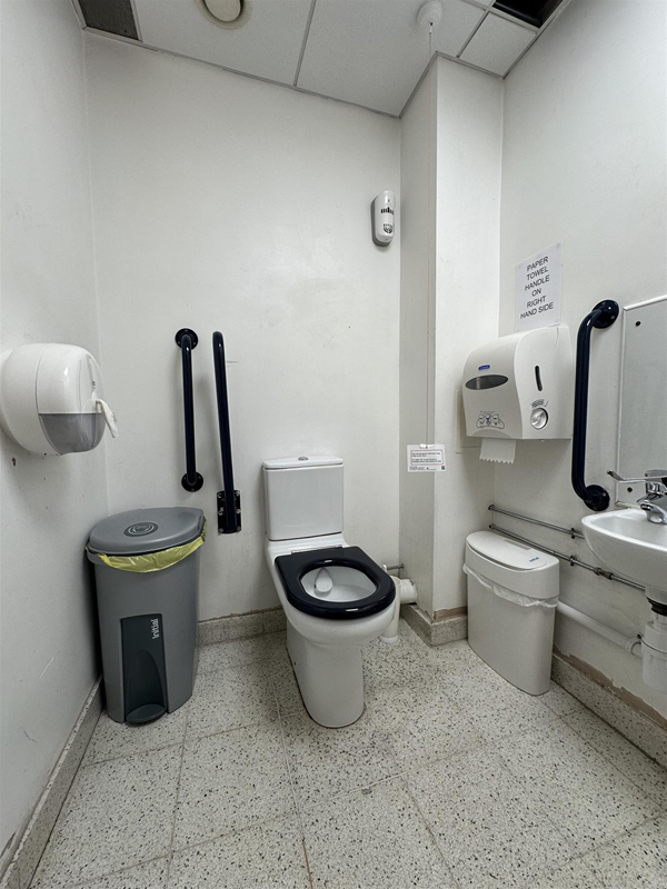 Image of accessible toilet