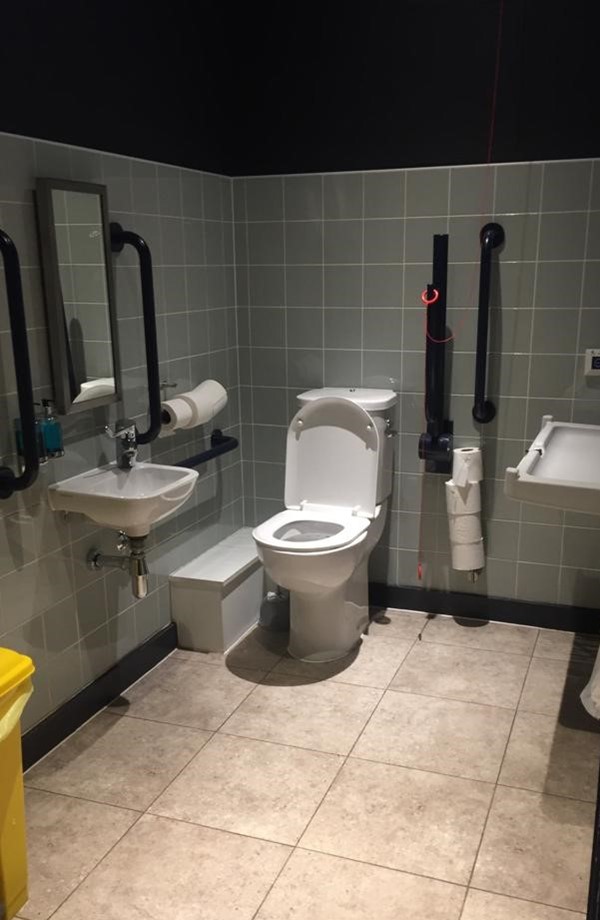 Picture of Accessible Toilet