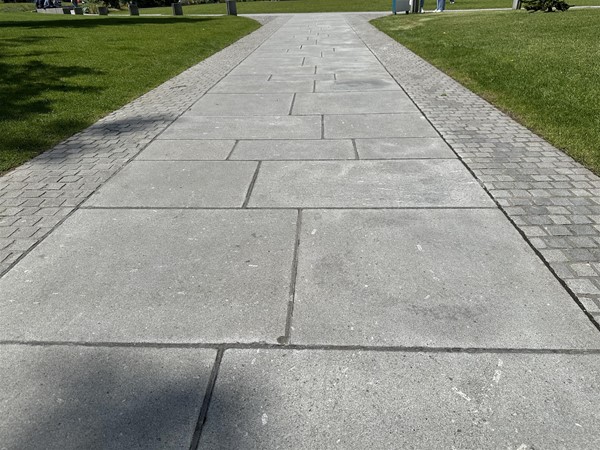 Image of pathway