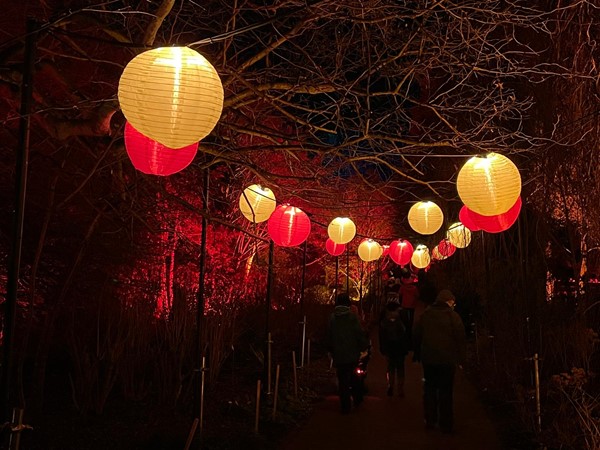 Chinese lanterns