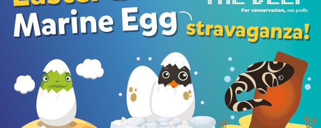 Easter Egg-Stravaganza article image