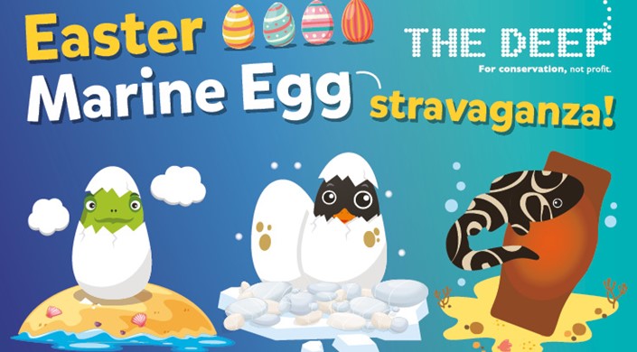 Easter Egg-Stravaganza