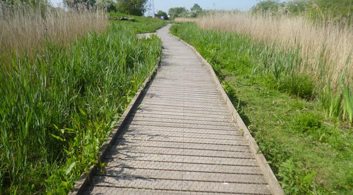 Wat Tyler Country Park