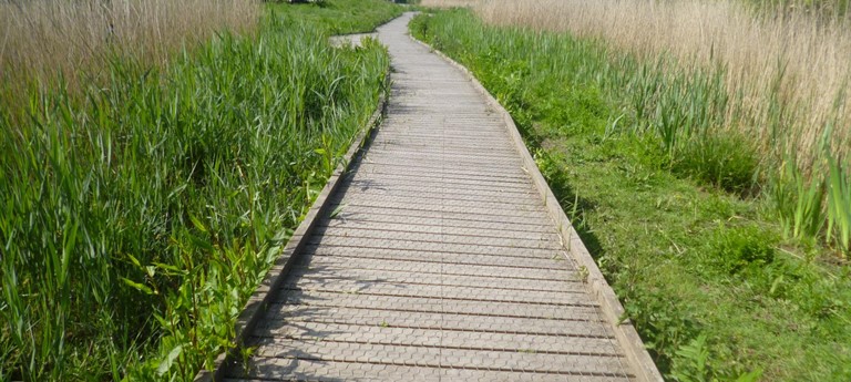 Wat Tyler Country Park