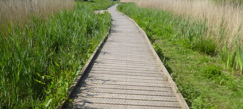 Wat Tyler Country Park