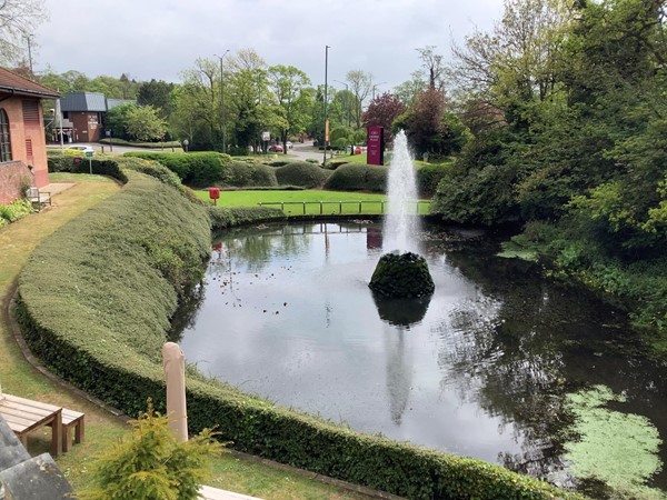 Picture of a pond with a fountain
