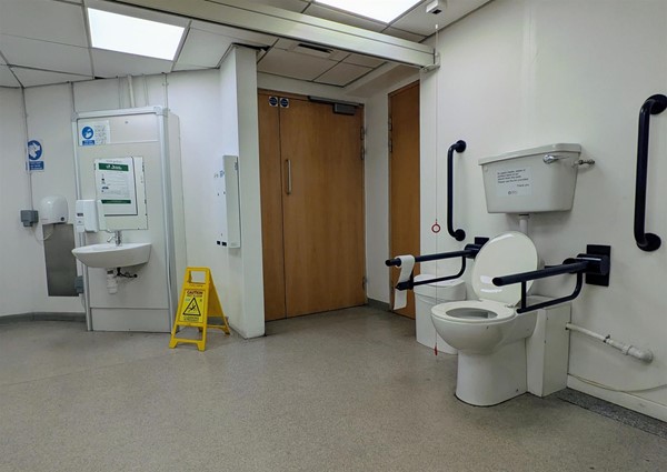 Image of very large accessible toilet
