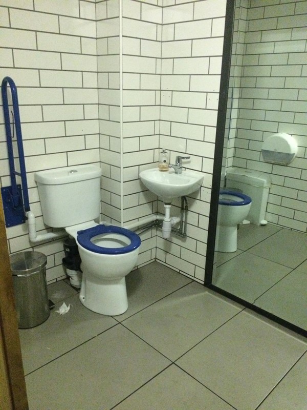 Photo of the accessible loo.