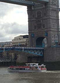 London Eye River Cruise