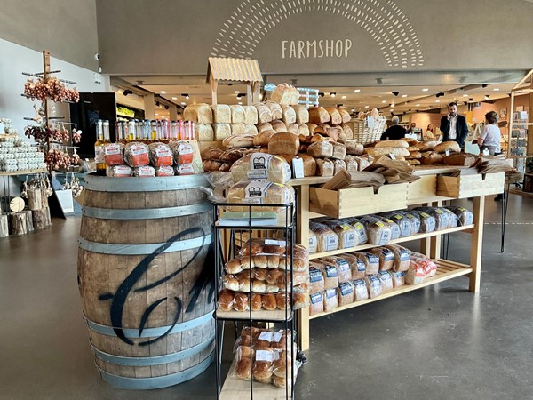 Gloucester Services