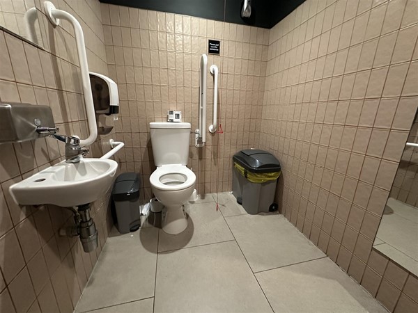 Image of accessible toilet