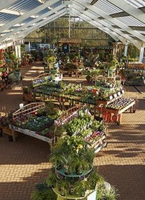 Torwood Garden Centre