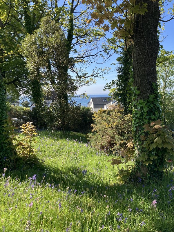 Image of the garden.