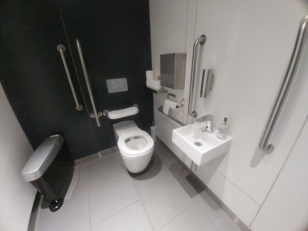 Horizon 22 accessible toilet
