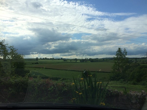 View from the outdoor seating area.